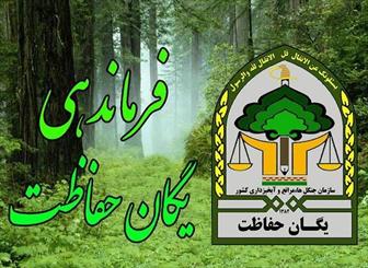 عملکرد یگان حفاظت منابع طبیعی ایلام قابل تقدیر است
