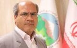 ۱۲ هزار کارت چَرای دام در سطح مراتع ایلام صادر شده است