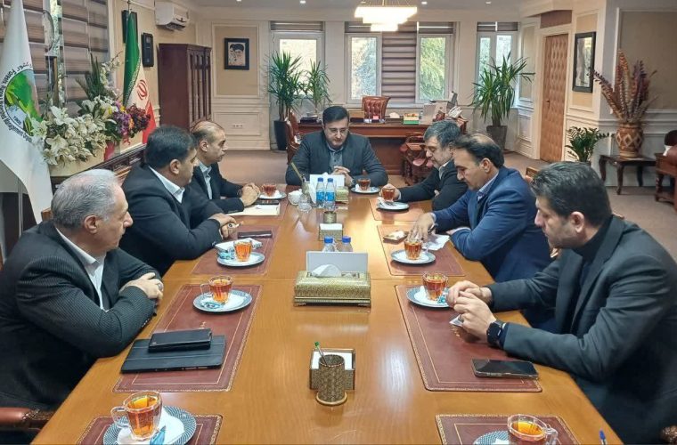 اعتبارات منابع طبیعی استان ایلام نیازمند افزایش است