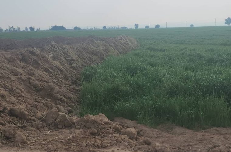 وقف زمین برای موکب امام حسین در موسیان / چه کسانی سنگ اندازی می کنند !؟آقای فرماندار نگذارید اعتبار اربعین را حیف و میل کنند وقف زمین برای موکب امام حسین در موسیان / چه کسانی سنگ اندازی می کنند !؟آقای فرماندار نگذارید اعتبار اربعین را حیف و میل کنند